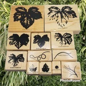 Stampin' Up! Fine Vine Rubber Stamps Set of 12